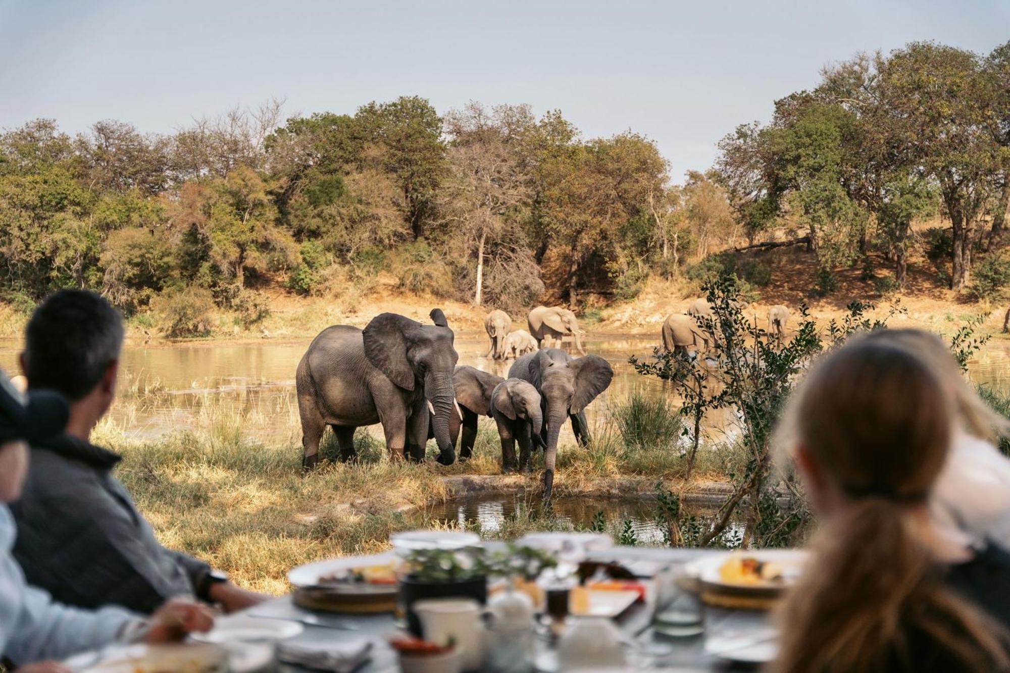 Simbavati River Lodge Timbavati Game Reserve Ngoại thất bức ảnh