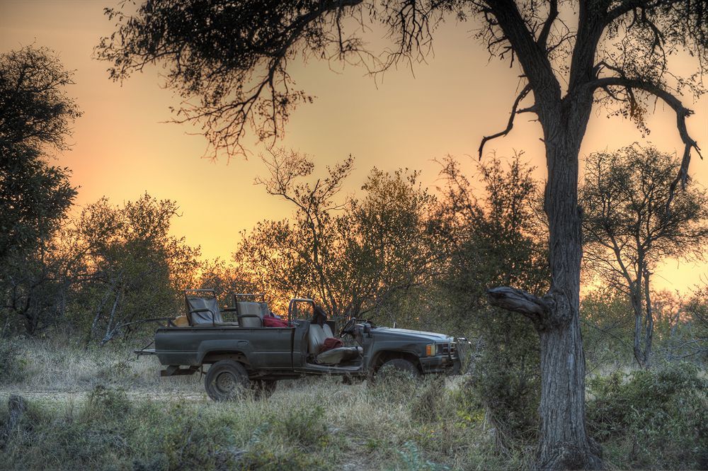 Simbavati River Lodge Timbavati Game Reserve Ngoại thất bức ảnh